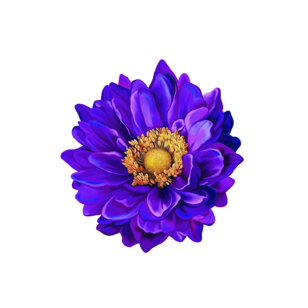 Violet Mona Lisa flower — Stock Photo, Image