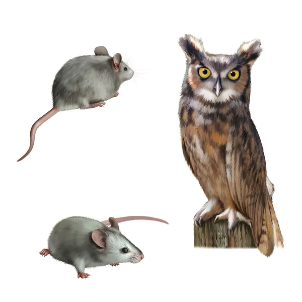 Owl sitting on   log and two mouses — Stock Photo, Image