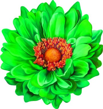 Yeşil Mona Lisa çiçek