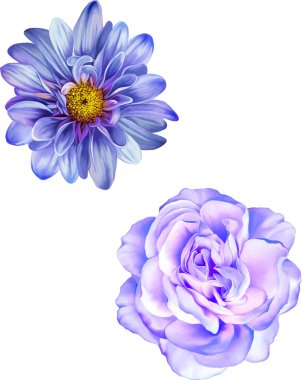 Mona Lisa ve Mor gül çiçek