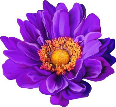 Purple Mona Lisa flower