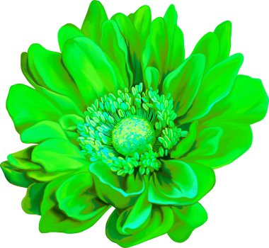 Yeşil Mona Lisa çiçek