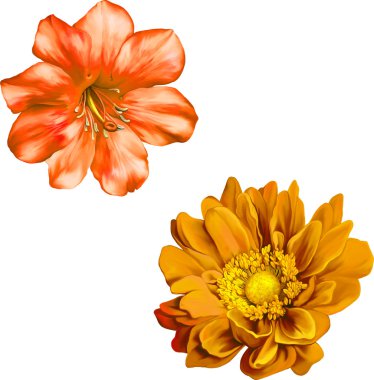 iki portakal çiçeği