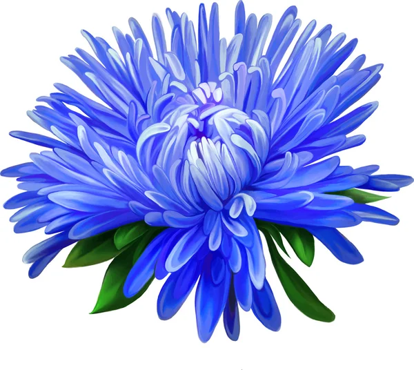 Flor azul aster — Vector de stock