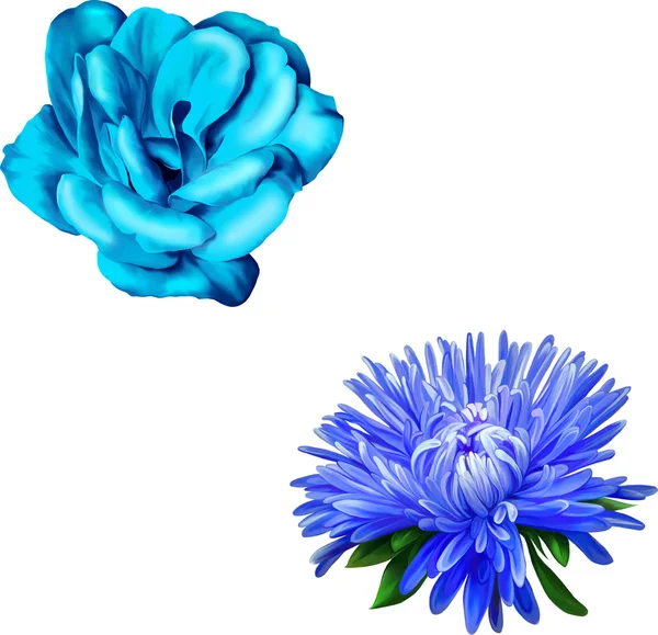 Blauwe roos en aster bloemen — Stockvector