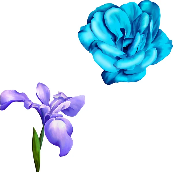 蓝紫色鸢尾和蓝玫瑰 — 图库矢量图片