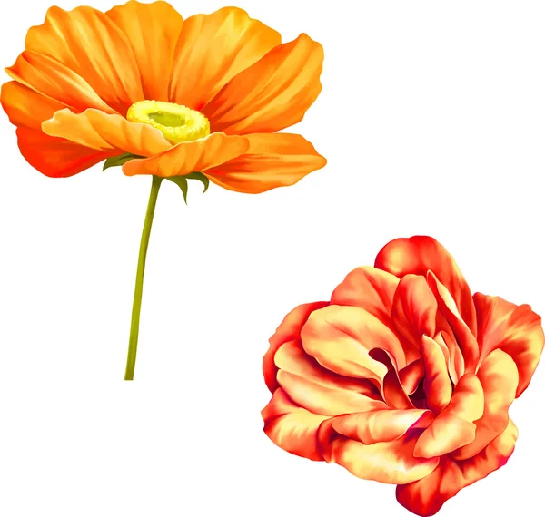 Dos flores rojas — Vector de stock