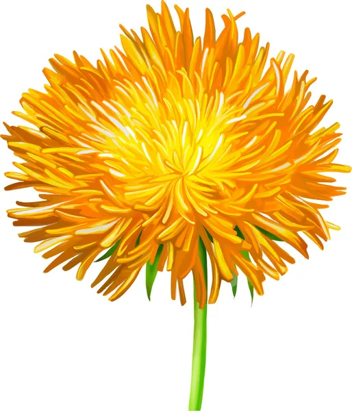 Yellow Thistle flower — Stock Vector