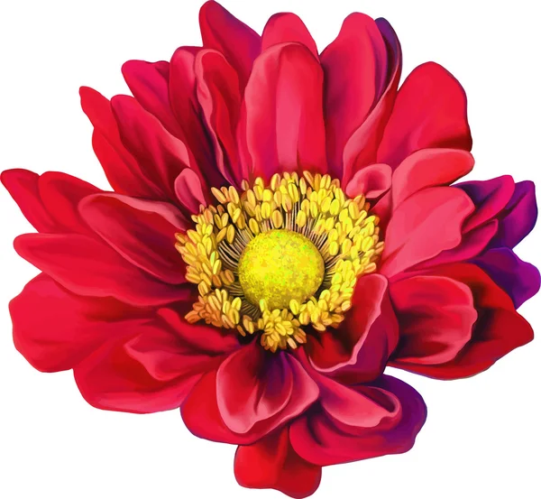 Kırmızı Mona Lisa çiçek