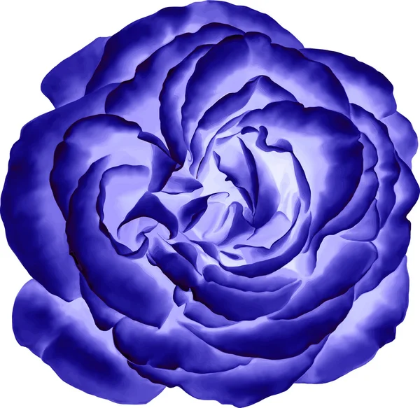 Blauw roze bloem — Stockvector