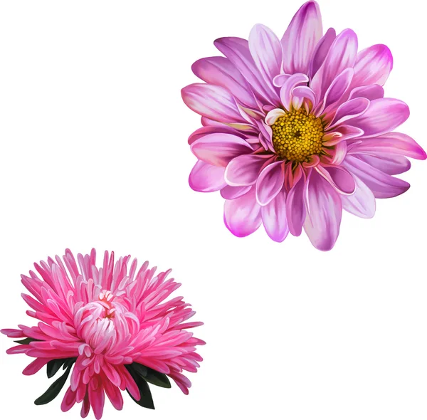 Mona Lisa ve aster çiçekler