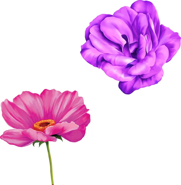 핑크 카멜리아와 양 귀 비 꽃 — 스톡 벡터