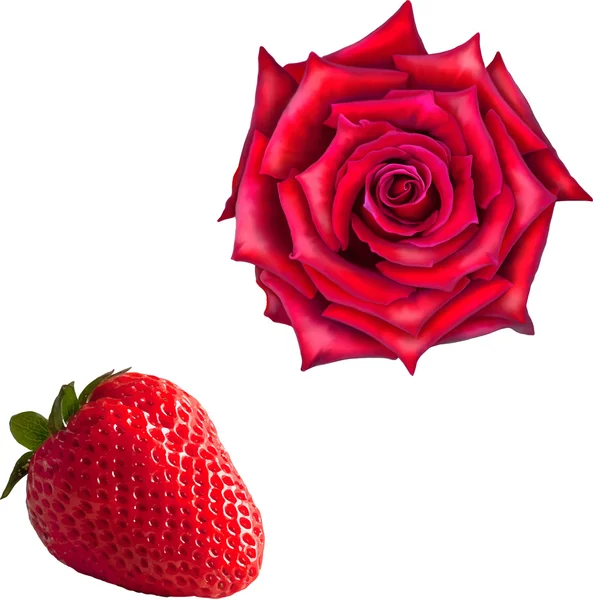 Rosa roja y fresa — Vector de stock