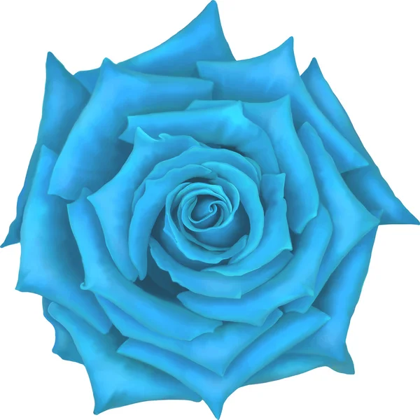 Blaue Rose — Stockvektor