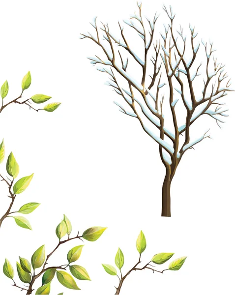 Зимове дерево і вишневі гілки — стоковий вектор