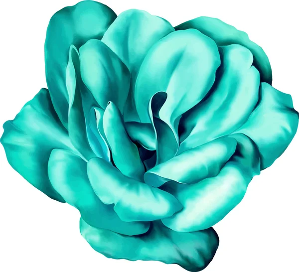 海の青バラ カメリアの花 — ストックベクタ