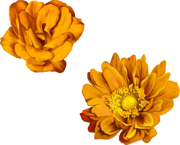 Żółte kwiaty róży — Wektor stockowy