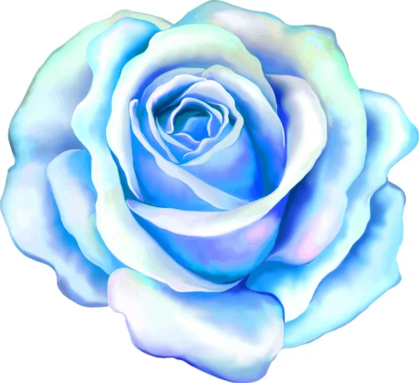 ブルーのバラの花 — ストックベクタ