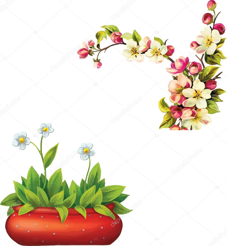 flowers in pot, Cherry blossom