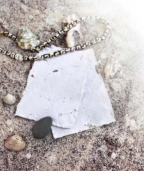 Beach background with seashells — Stock Photo, Image