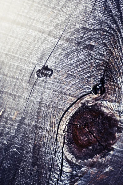木の木目テクスチャ — ストック写真