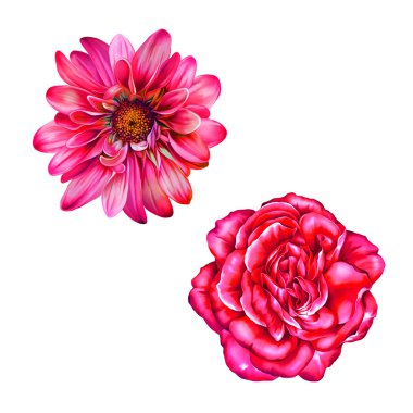 Pembe Gül ve Mona Lisa çiçekler