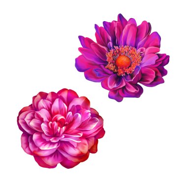 Mona Lisa kamelya çiçekler