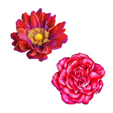 Kırmızı gül ve Mona Lisa çiçekler