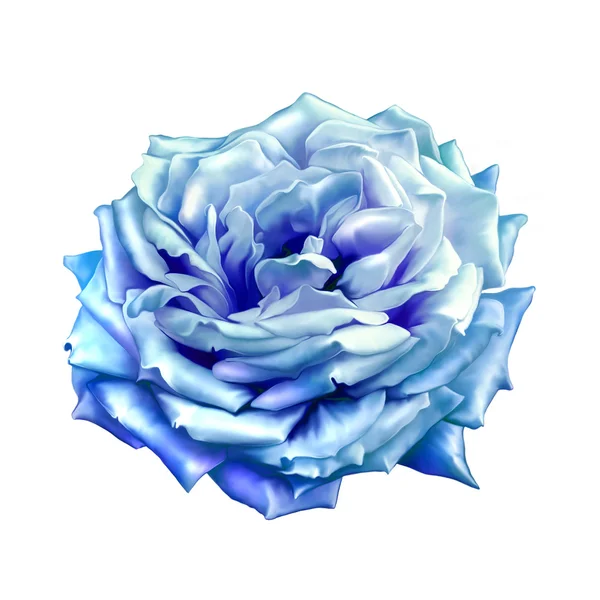 Flor rosa azul — Foto de Stock