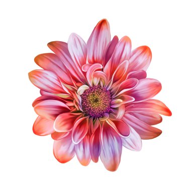 Parlak Mona Lisa çiçek