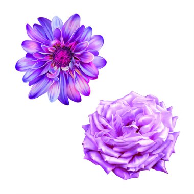 Rose ve Mona Lisa çiçek