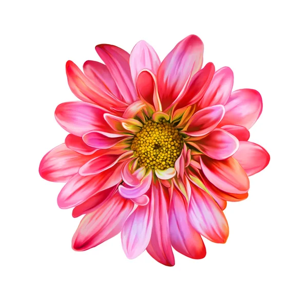 Flor mona lisa brilhante — Fotografia de Stock