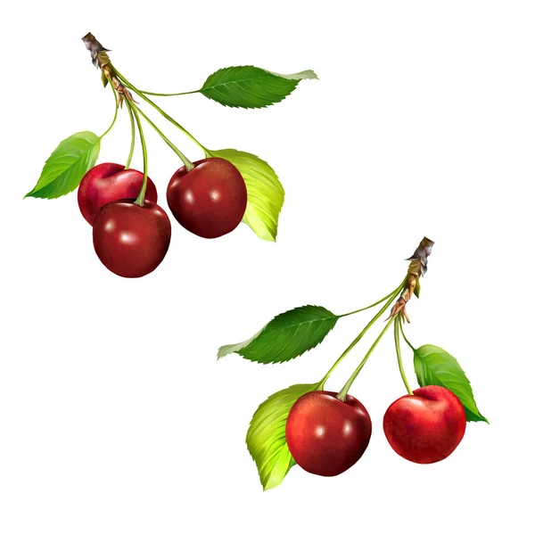 Красные вишни с листьями — стоковое фото
