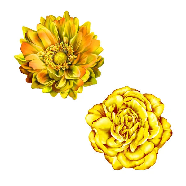 黄玫瑰和蒙娜莉萨的花朵 — 图库照片