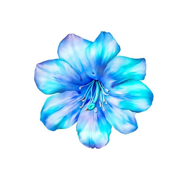 Bellissimo fiore blu brillante . — Foto Stock