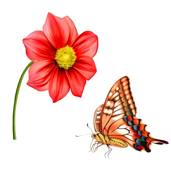 Mariposa roja y flor de Dahlia —  Fotos de Stock