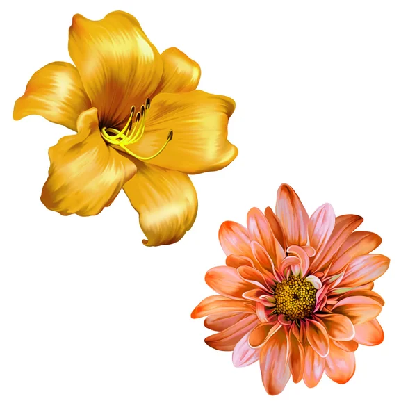 Gele lily en mona lisa bloemen. geïsoleerd op een witte achtergrond — Stockfoto