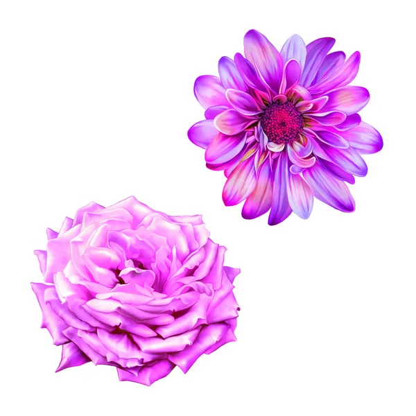 Λουλούδια ροζ τριαντάφυλλο και Μόνα Λίζα — Φωτογραφία Αρχείου