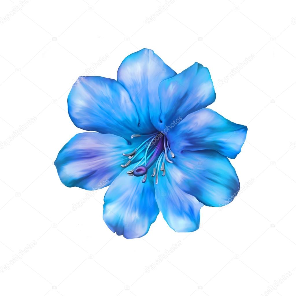 bright blue Flower.
