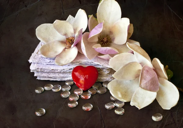 Background with magnolia flowers and red heart — Stock Photo, Image