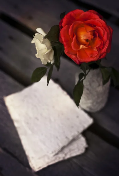 Schöne rote Rosen — Stockfoto