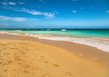 Güzel sahil ve tropikal deniz