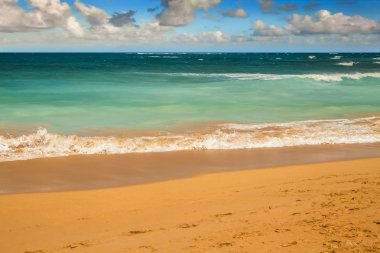 Güzel sahil ve tropikal deniz