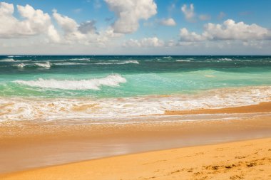 Güzel sahil ve tropikal deniz