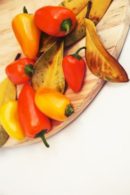 biber ahşap kartı, sonbahar yaprakları