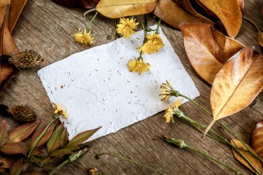 Yaprak, çiçek ve kağıt