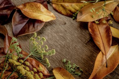 Yapraklı sonbahar arkaplanı