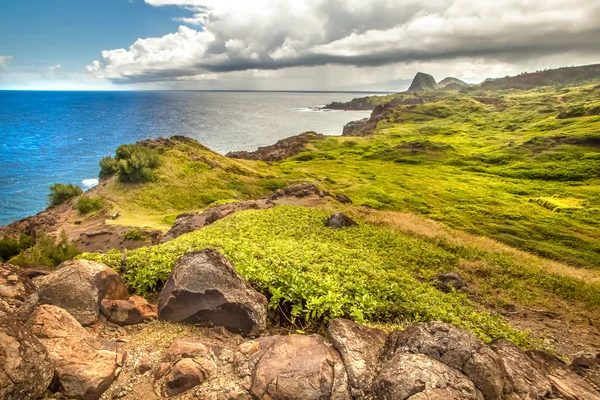 Berglandschap met Stille Oceaan — Stockfoto