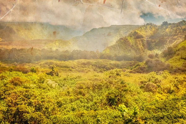 Composição de fundo natural , — Fotografia de Stock