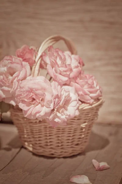 핑크 장미 바구니 — 스톡 사진